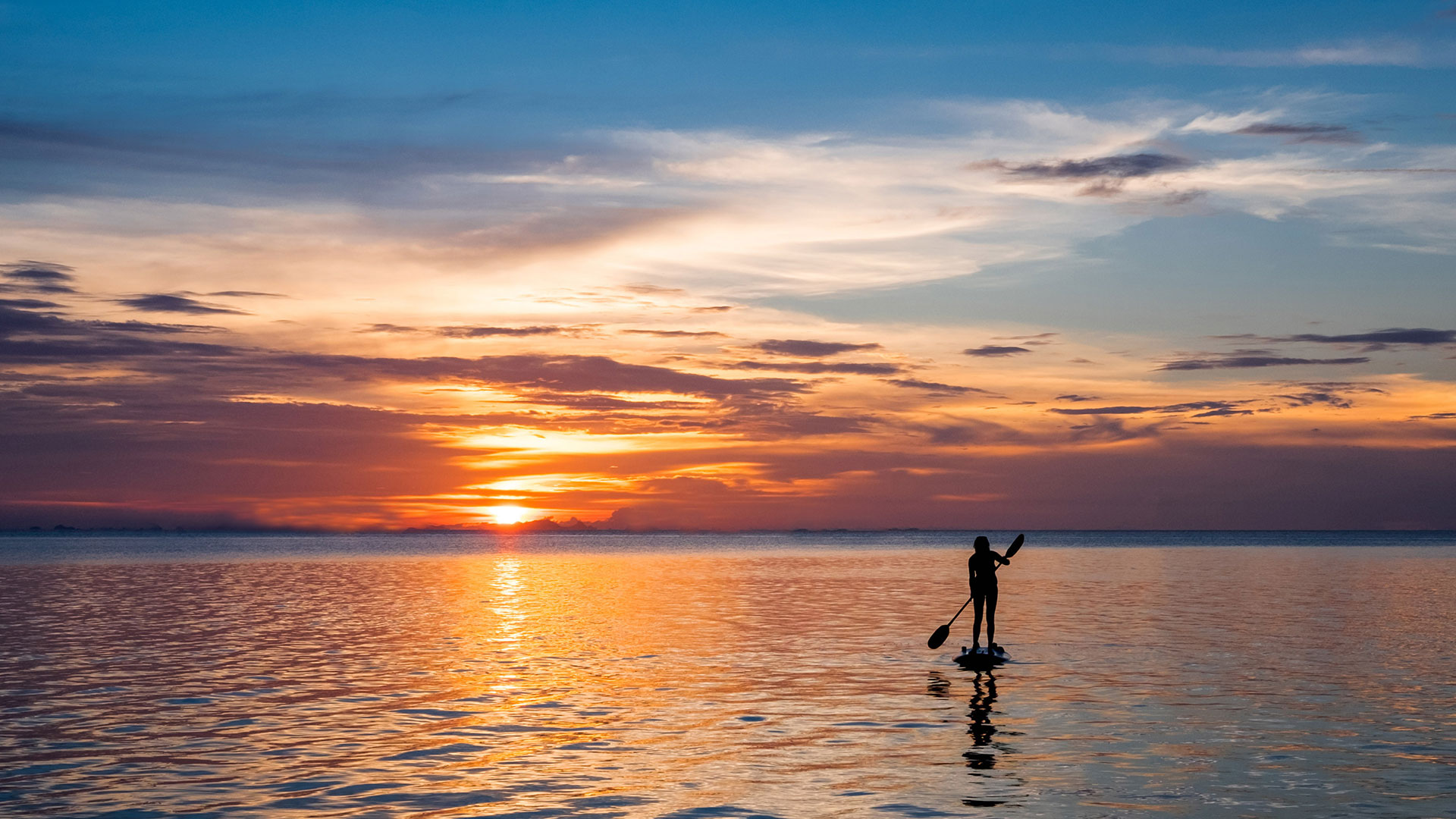 woman paddle boarding in Sarasota Florida